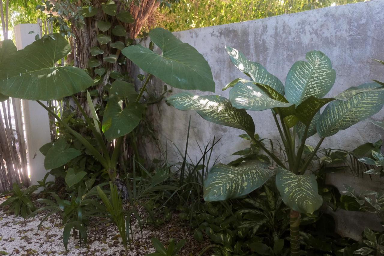 טולום Wabi Sabi Garden Guesthouse By Amara Concepts. מראה חיצוני תמונה